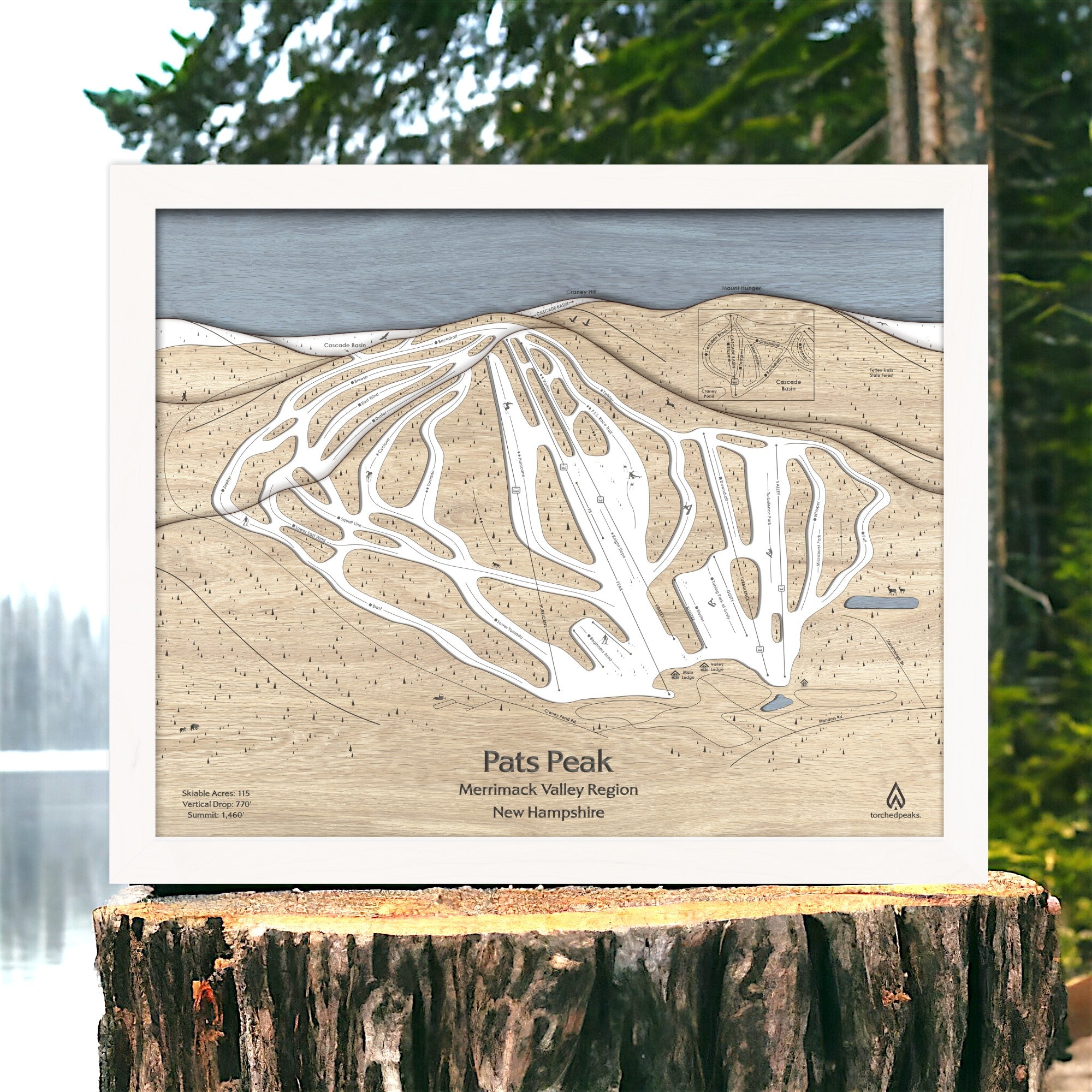 Wooden topographic map of Pats Peak on a wooden stump with a forest background