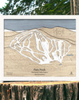 Wooden topographic map of Pats Peak on a wooden stump with a forest background