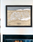Ski Chalet Art: Purgatory ski resort wood map