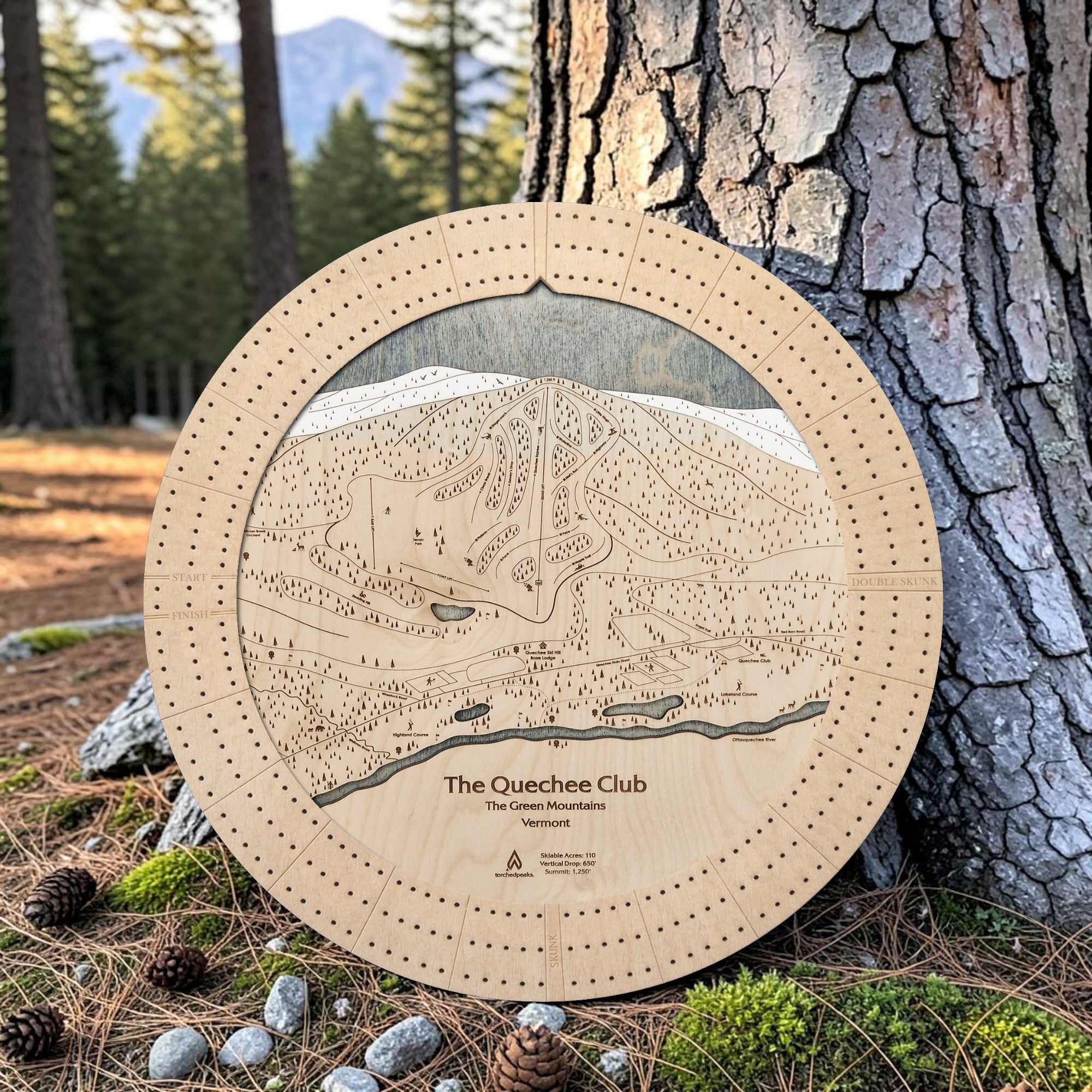 Birch Quechee Club ski trail map cribbage board displayed beside a pine tree in a Vermont woodland setting.