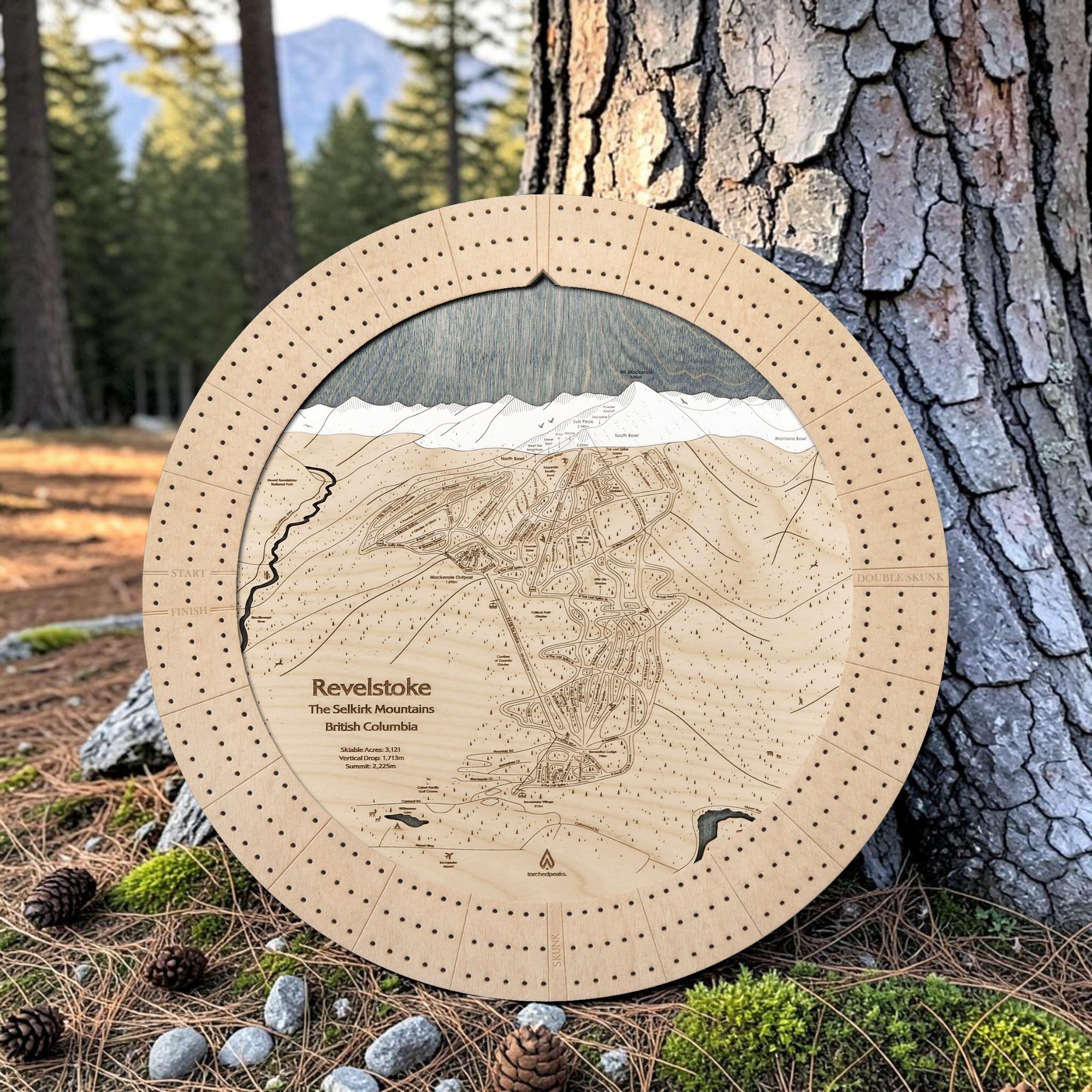 Birch Revelstoke ski trail map cribbage board displayed beside a pine tree in a mountain forest.