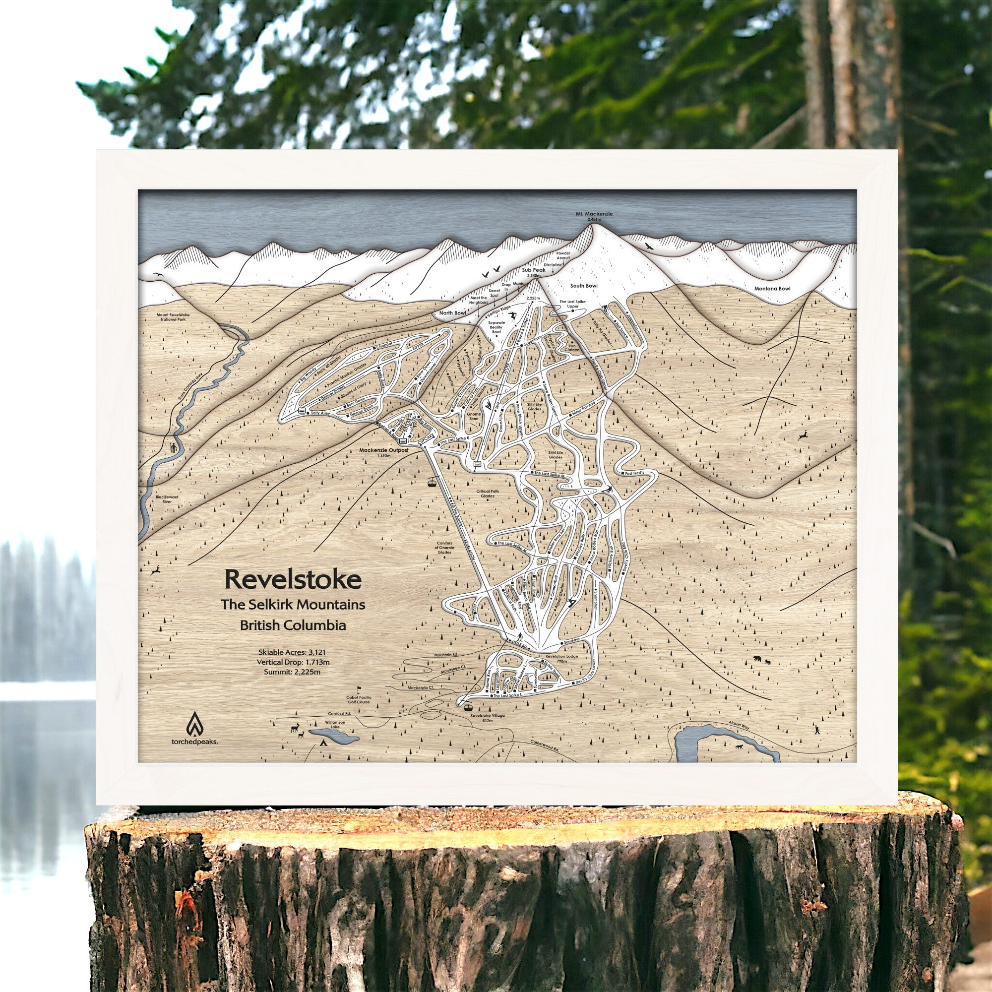 Wooden map of Revelstoke Ski Resort, British Columbia, framed and placed on a wooden stump with a forest background.