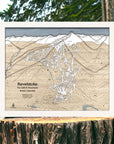 Wooden map of Revelstoke Ski Resort, British Columbia, framed and placed on a wooden stump with a forest background.