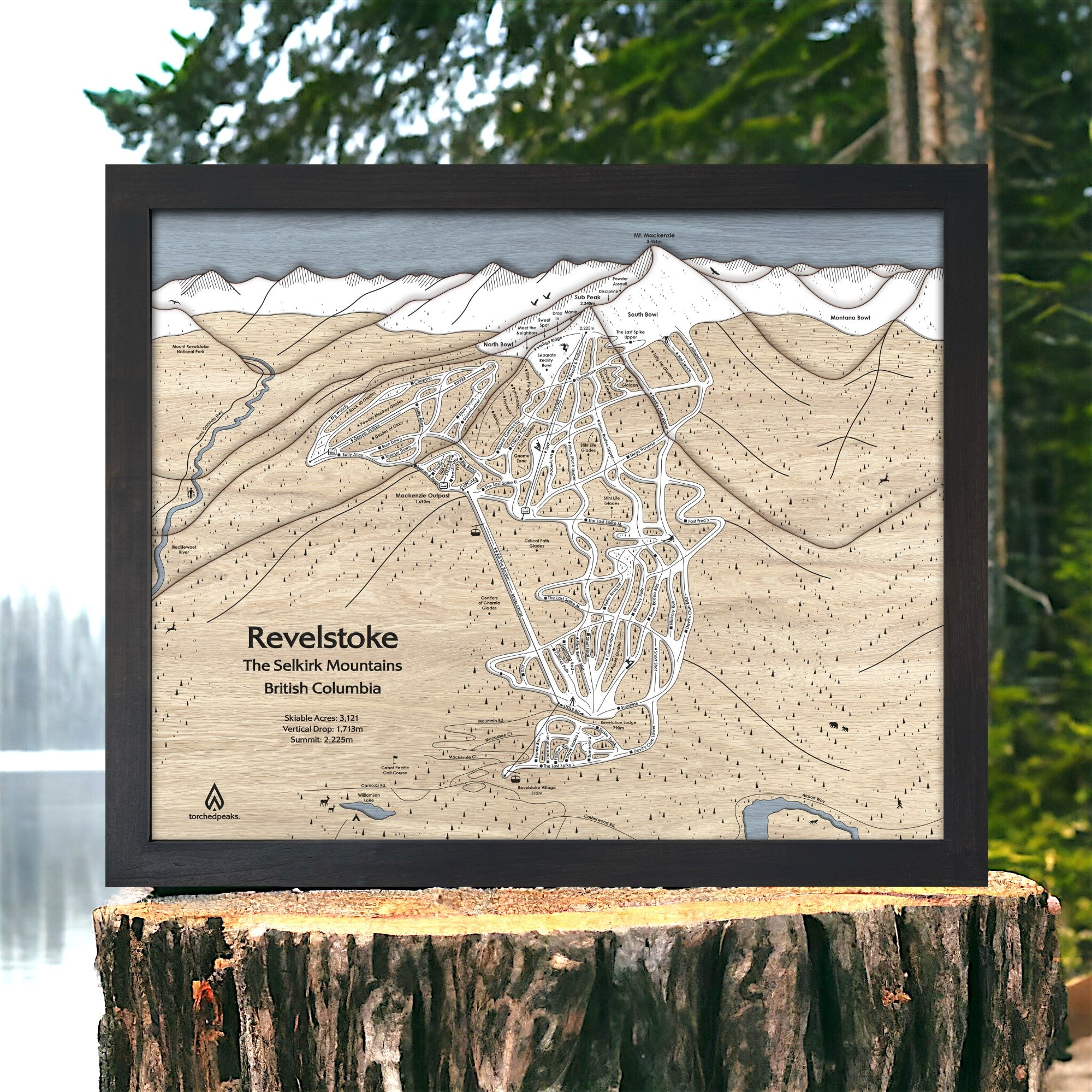 Framed map of Revelstoke Ski Resort on a wooden stump with a forest background