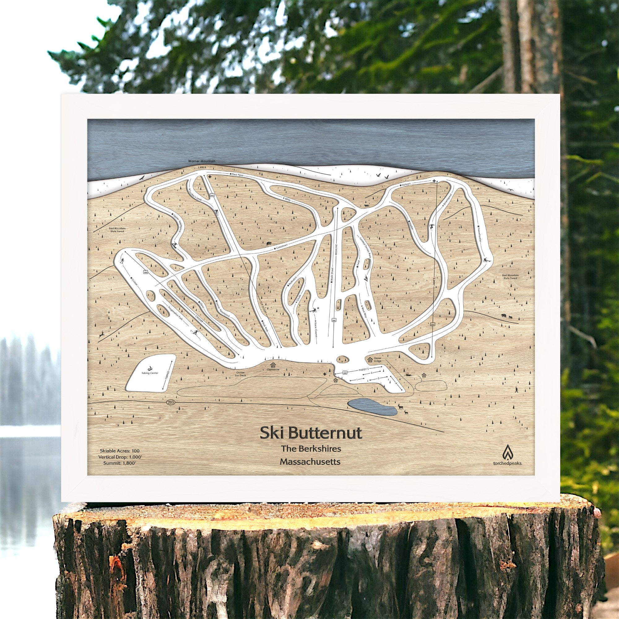 Framed wooden map of Ski Butternut Ski Slopes on a wooden stump with a forest background