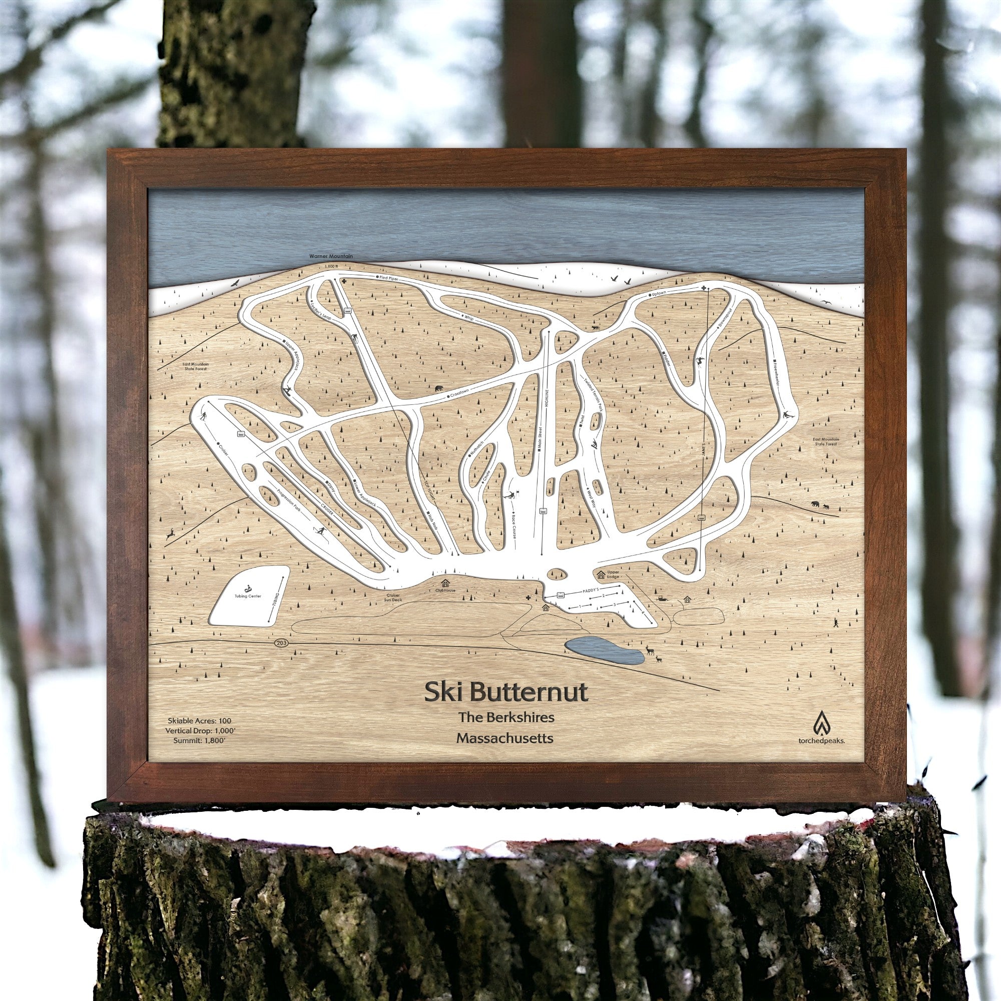 Wooden map of Ski Butternut in the Berkshires, Massachusetts, displayed outdoors.