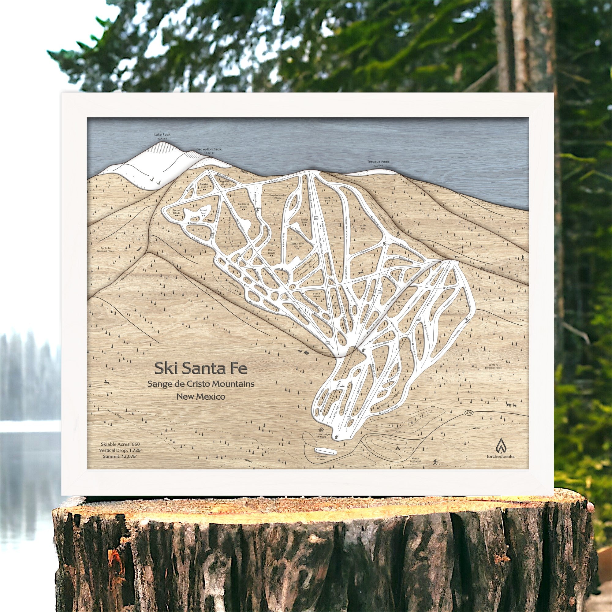 Wooden trail map of Ski Santa Fe on a tree stump with a natural background