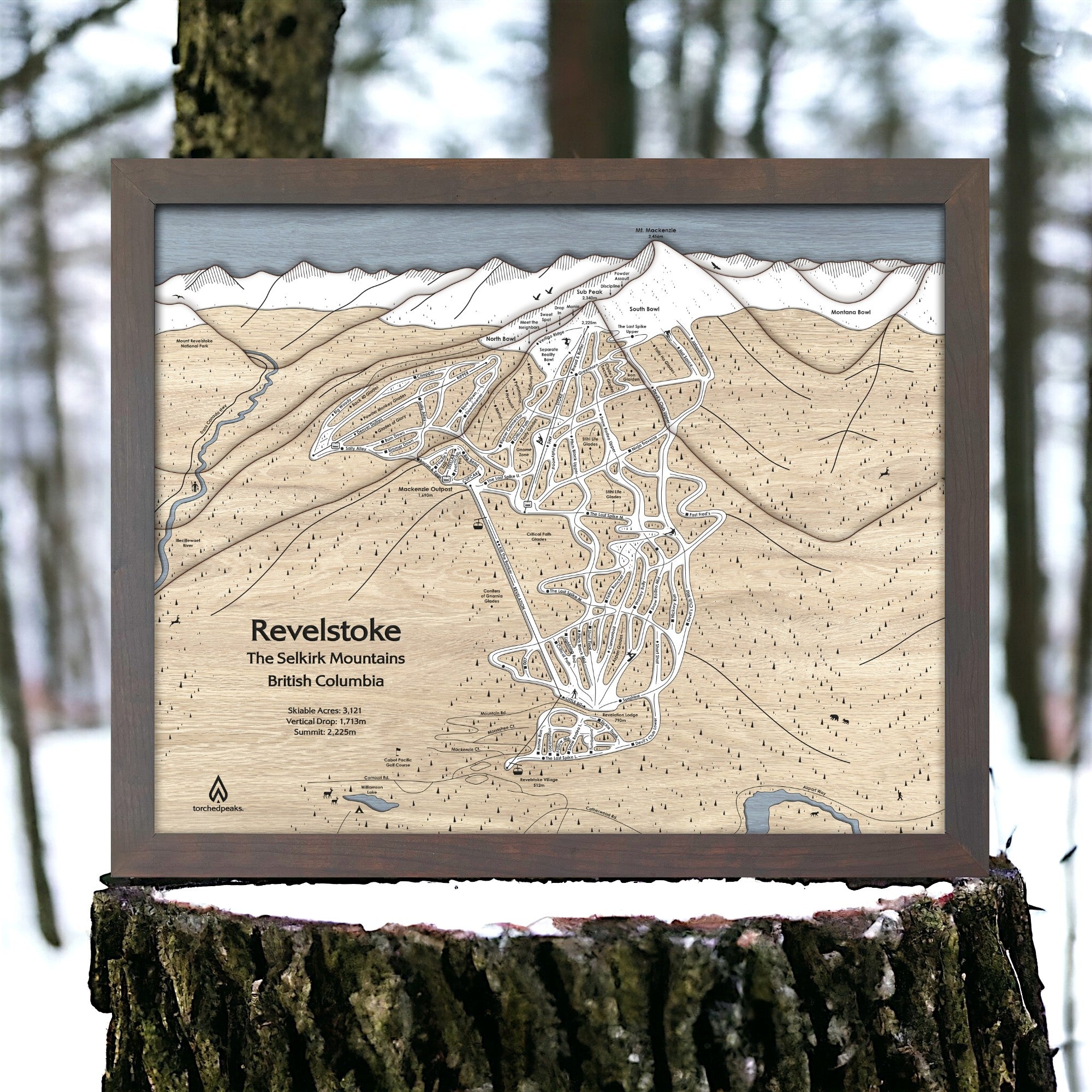 Framed Skiing Wall Art of Ski Resort in British Columbia resting on wood stump with snow covered landscape. 