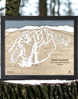 Snow Summit CA Ski Resort Trail Map, 3D Ski Map, Layered Ski Resort Map