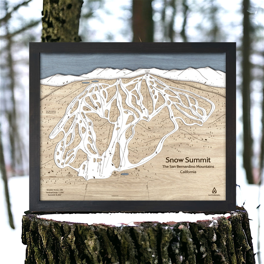 Snow Summit CA Ski Resort Trail Map, 3D Ski Map, Layered Ski Resort Map