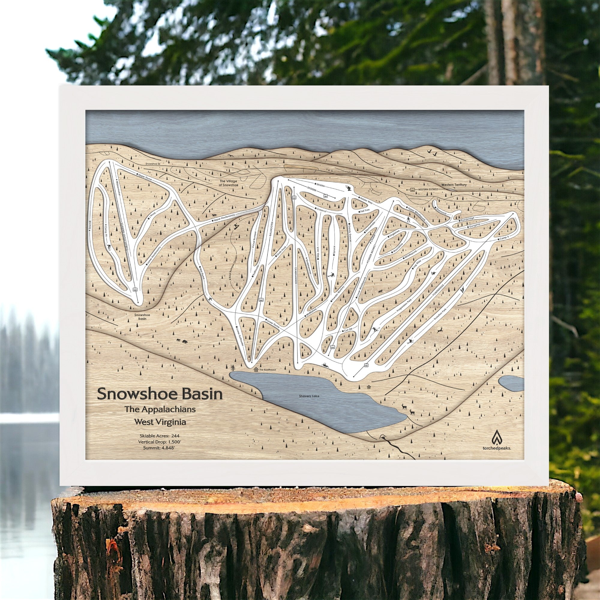 Wooden map of Snowshoe Mountain Ski Trails on a tree stump with a natural background