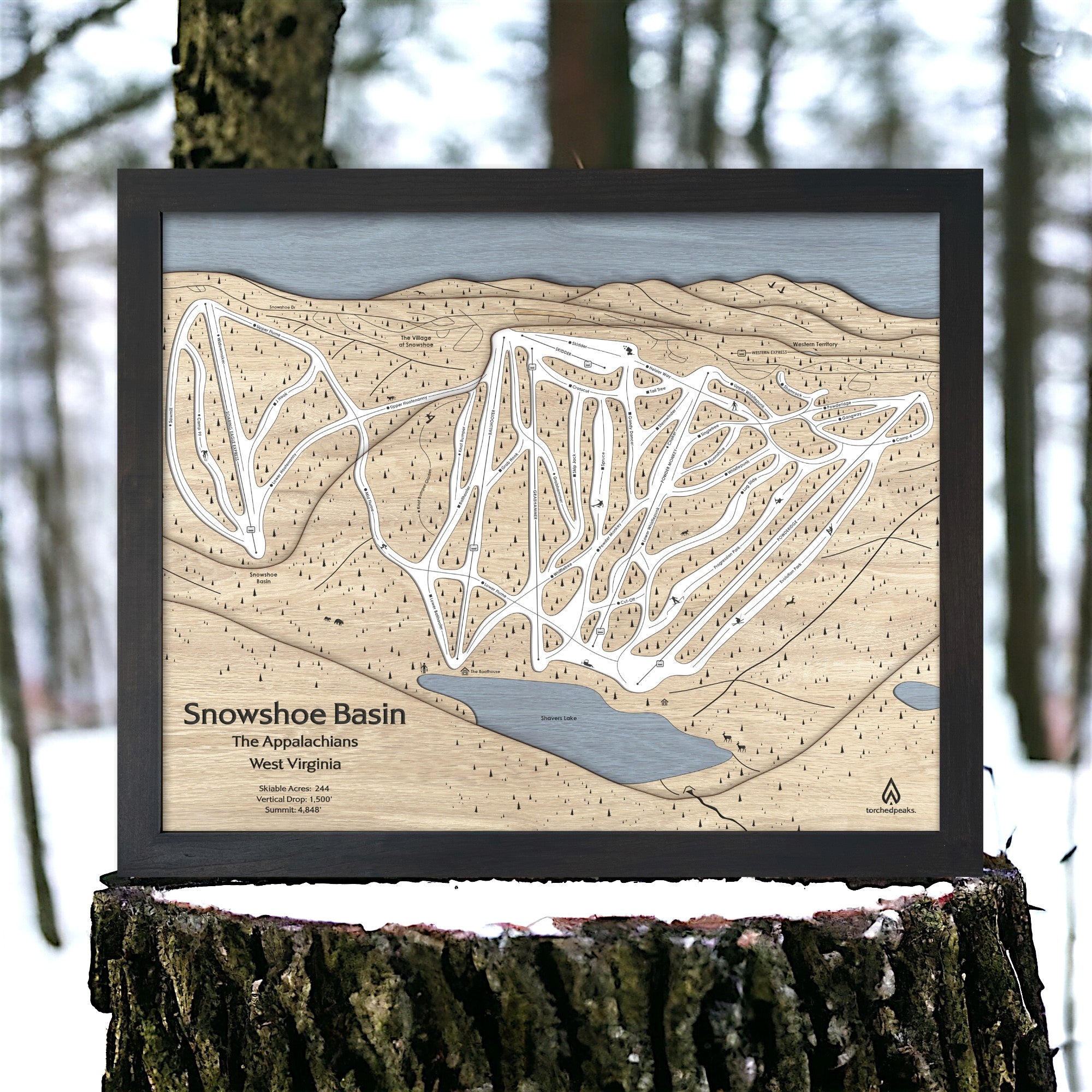 Wooden map of Snowshoe Mountain Ski Trails in West Virginia on a tree stump with a forest background