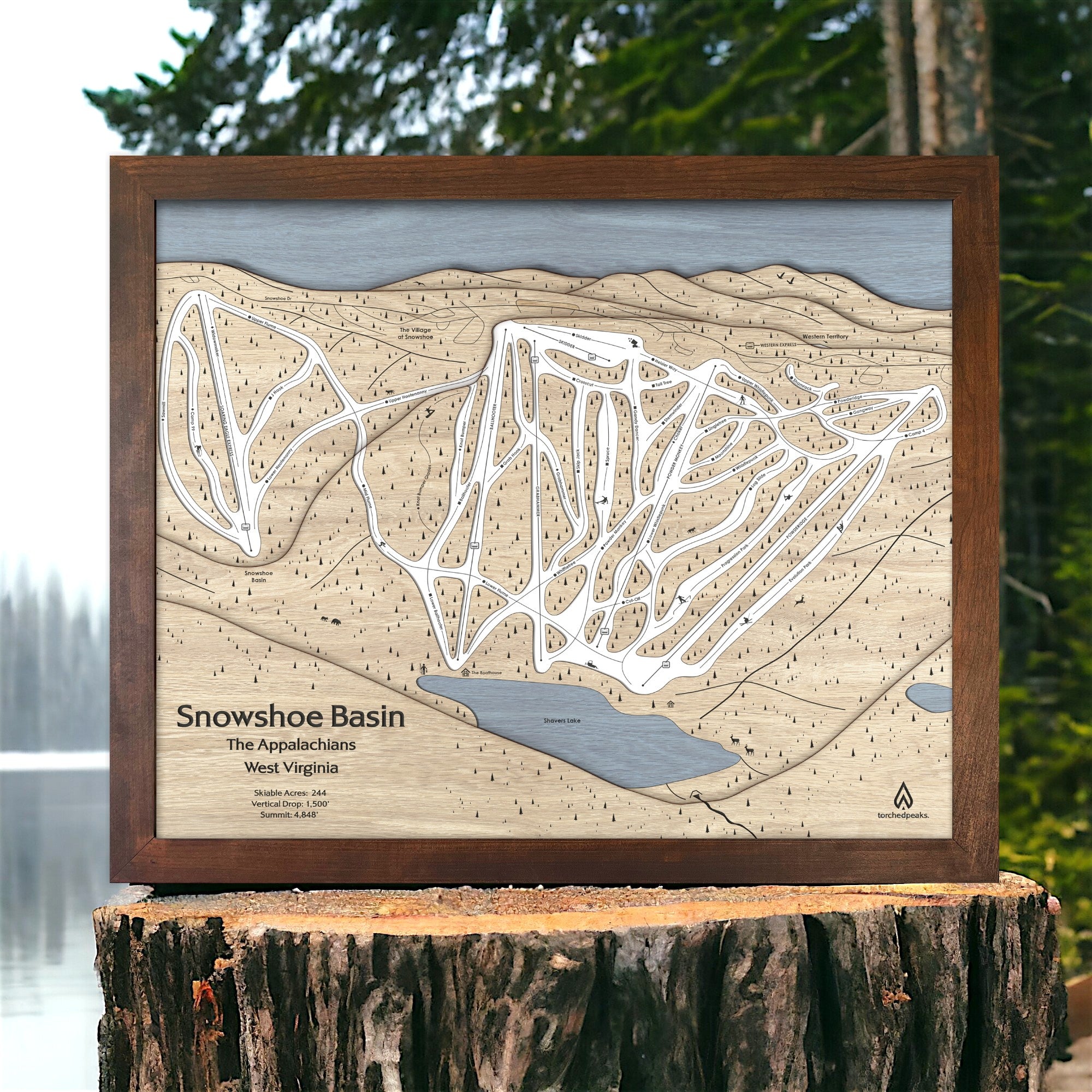 Wooden map of Snowshoe Mountain Ski Runs on a wooden stump with a natural background