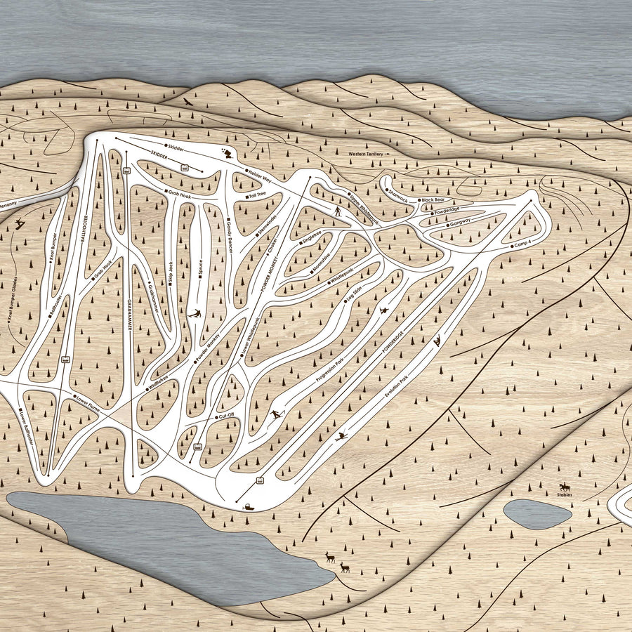 Snowshoe WV Ski Trail Map | 3D Wood Mountain Art | Torched Peaks