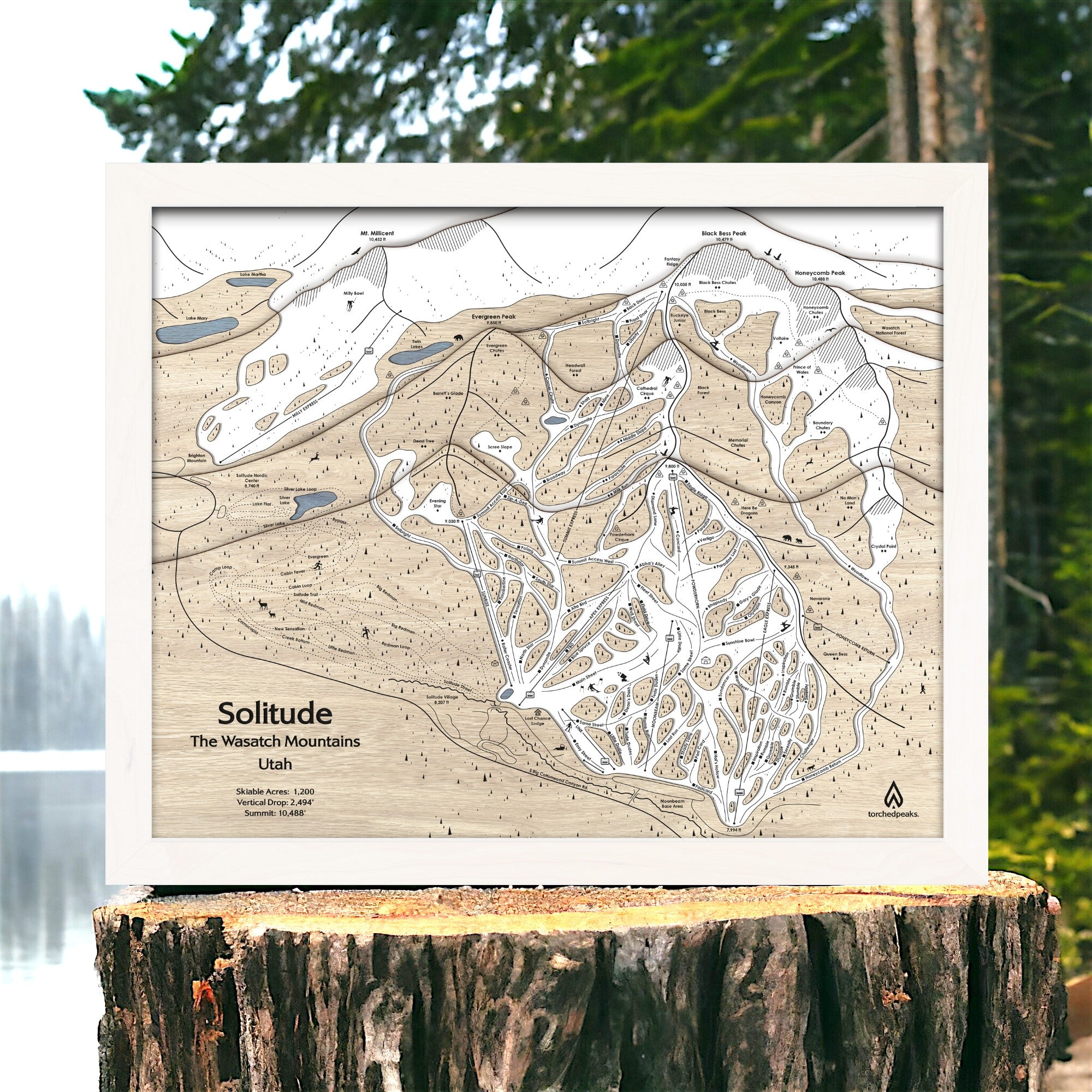 Topographic map of Solitude, Wasatch Mountains, Utah on a wooden stump with a forest background