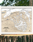 Topographic map of Solitude, Wasatch Mountains, Utah on a wooden stump with a forest background
