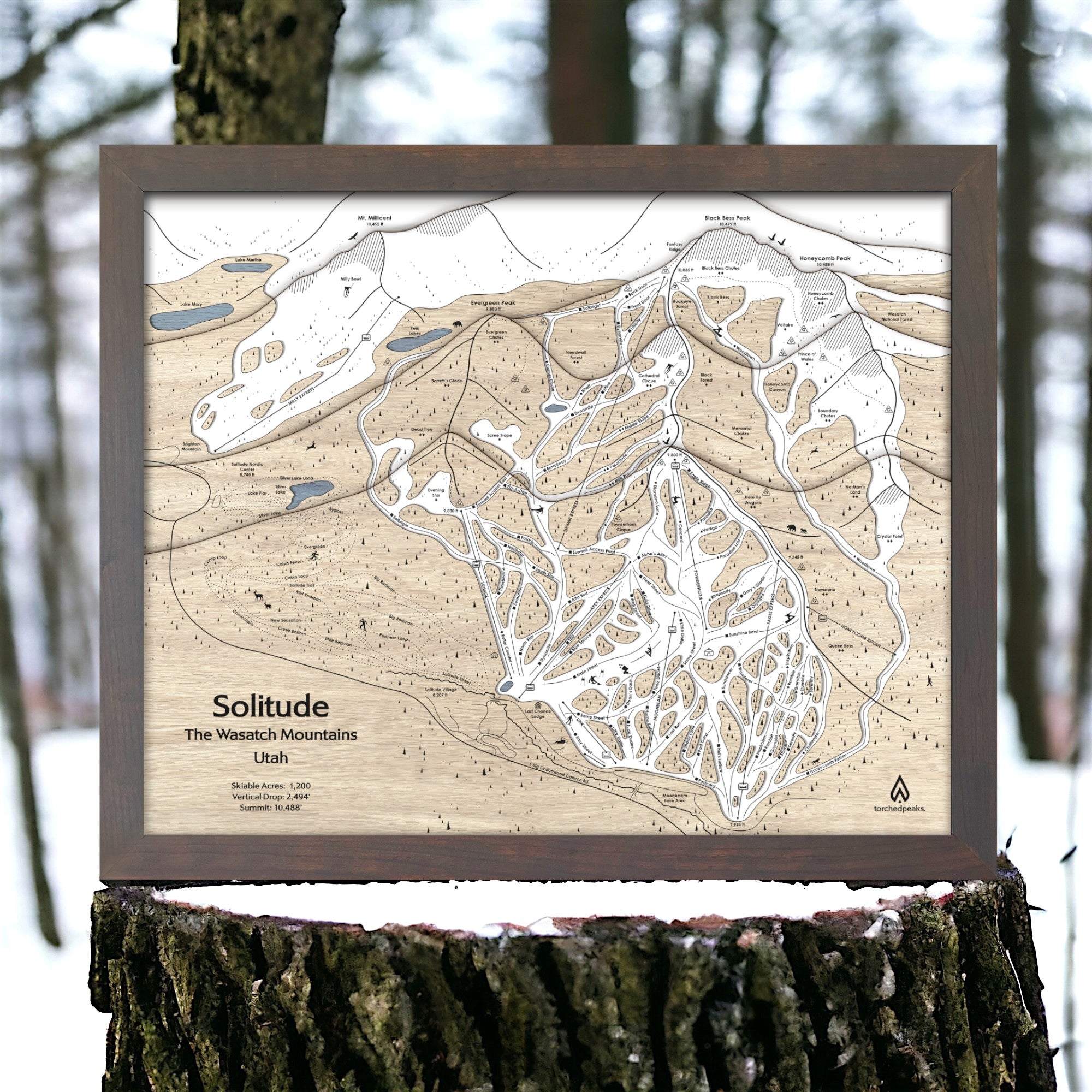 Wooden map of Solitude, Utah framed on a tree stump with a forest background