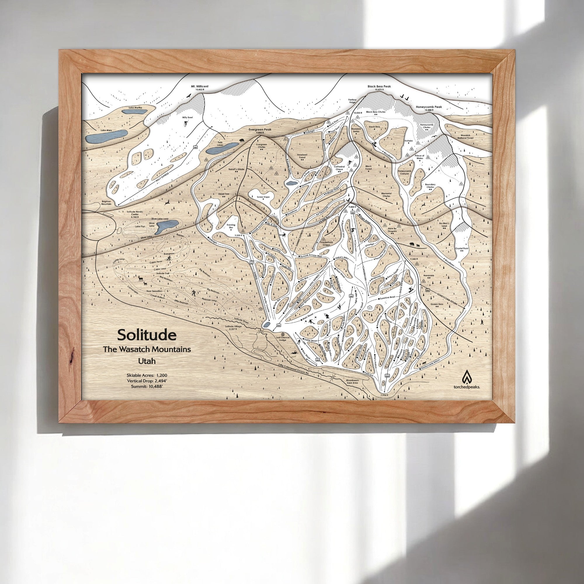 Framed topographic map of Solitude Ski Resort, Utah on a white wall
