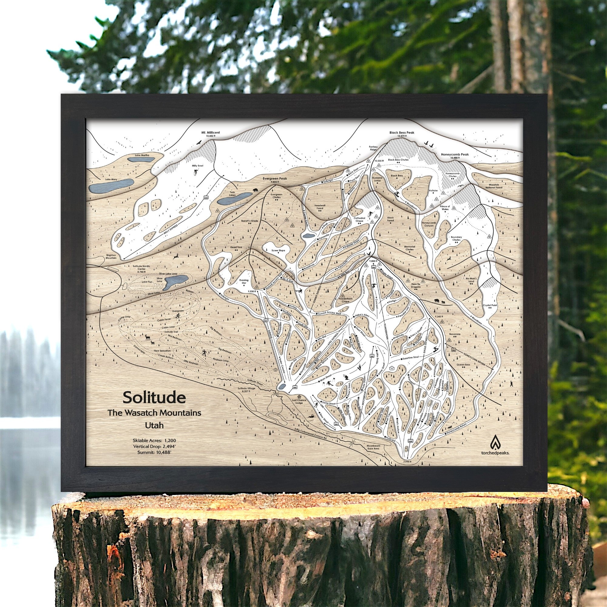 Framed Ski Map map of Solitude, Utah on a wooden stump with a natural background.