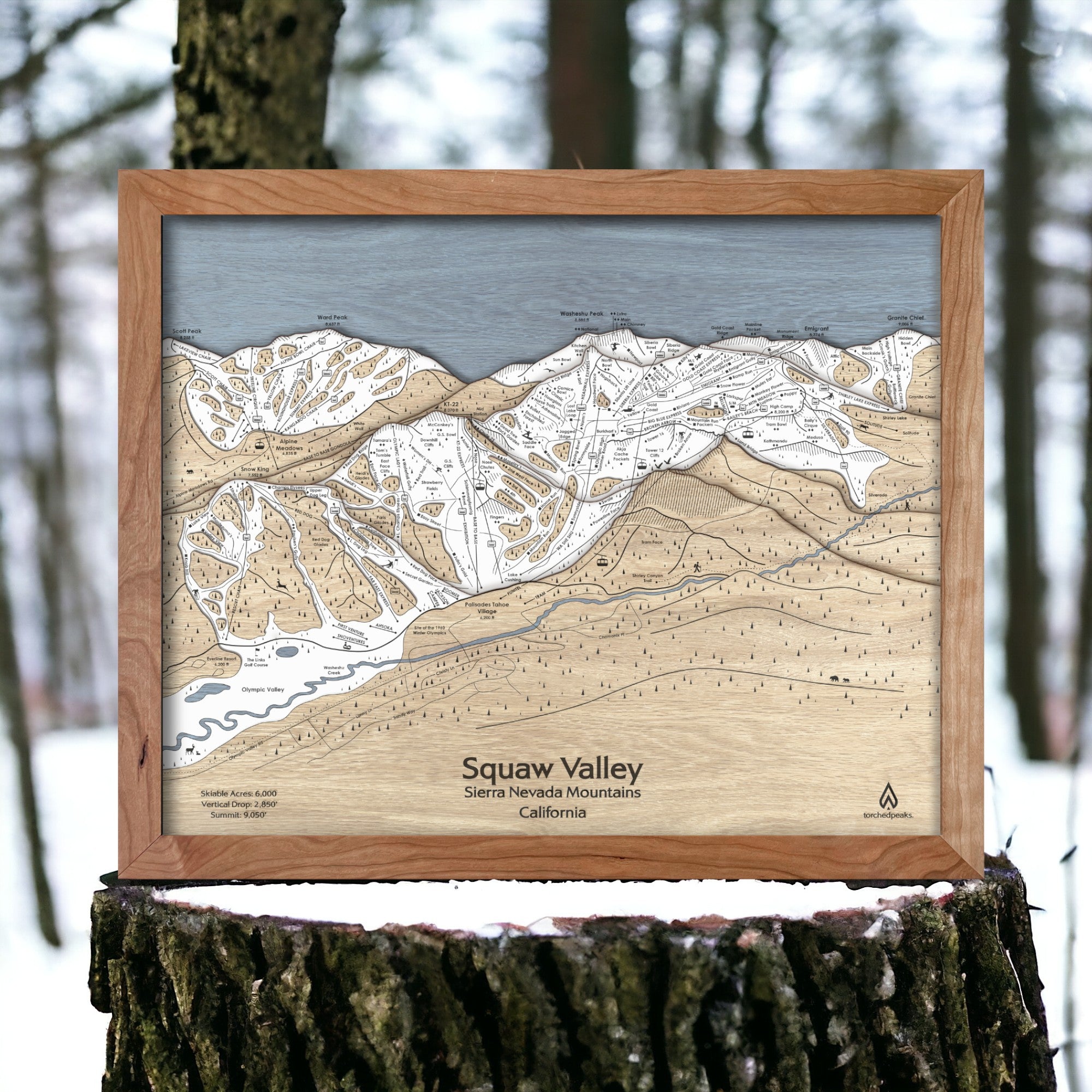 Squaw Valley Map, Squaw Valley Ski Area, Trail Map, Palisades Tahoe