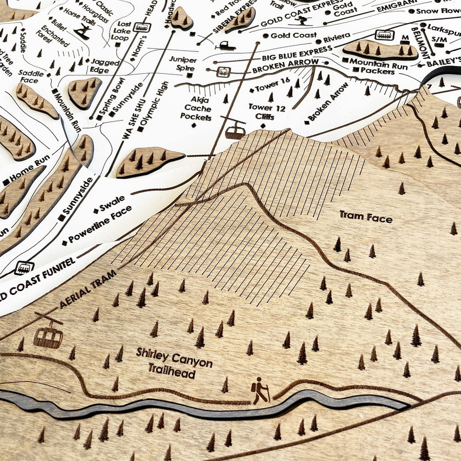 Squaw Valley Ski Mountain, Laser-cut map. Home Decor for Skiers, Skiing Wall Art