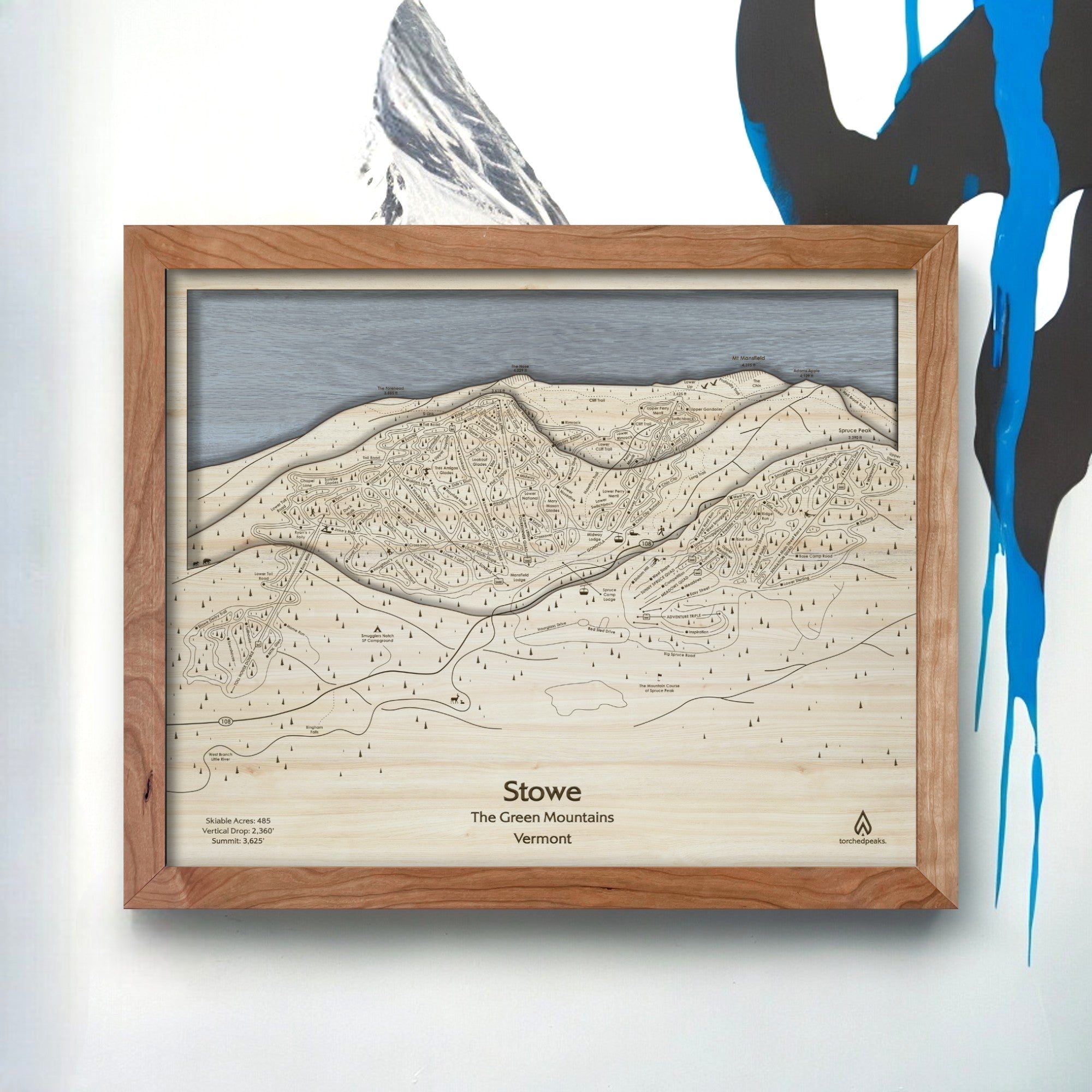 Stowe Trail Map, Vermont Ski Resort Map, Ski House Decor