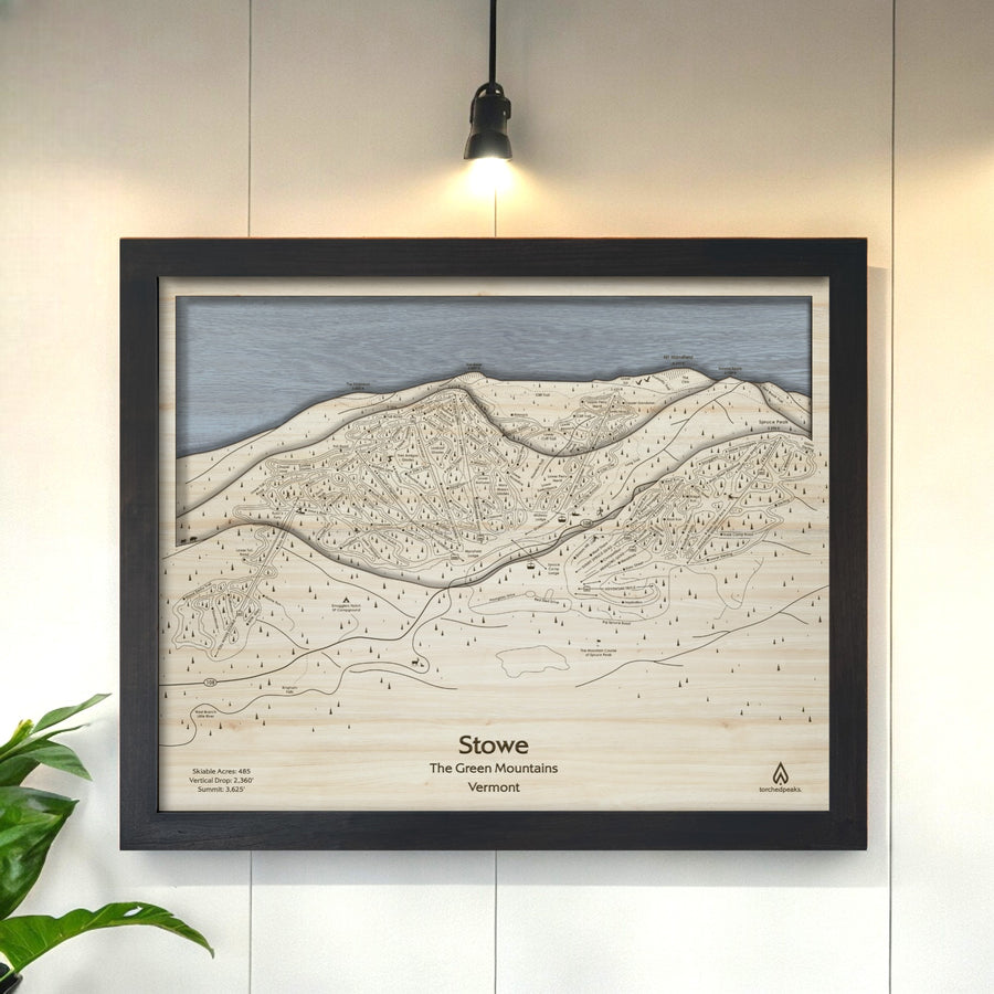 Stowe 3D Wood Map, Slopes Mountain Art, Ski Resort Art designed by Artists Shawn Orecchio, Former Pro Snowboarder from New Jersey