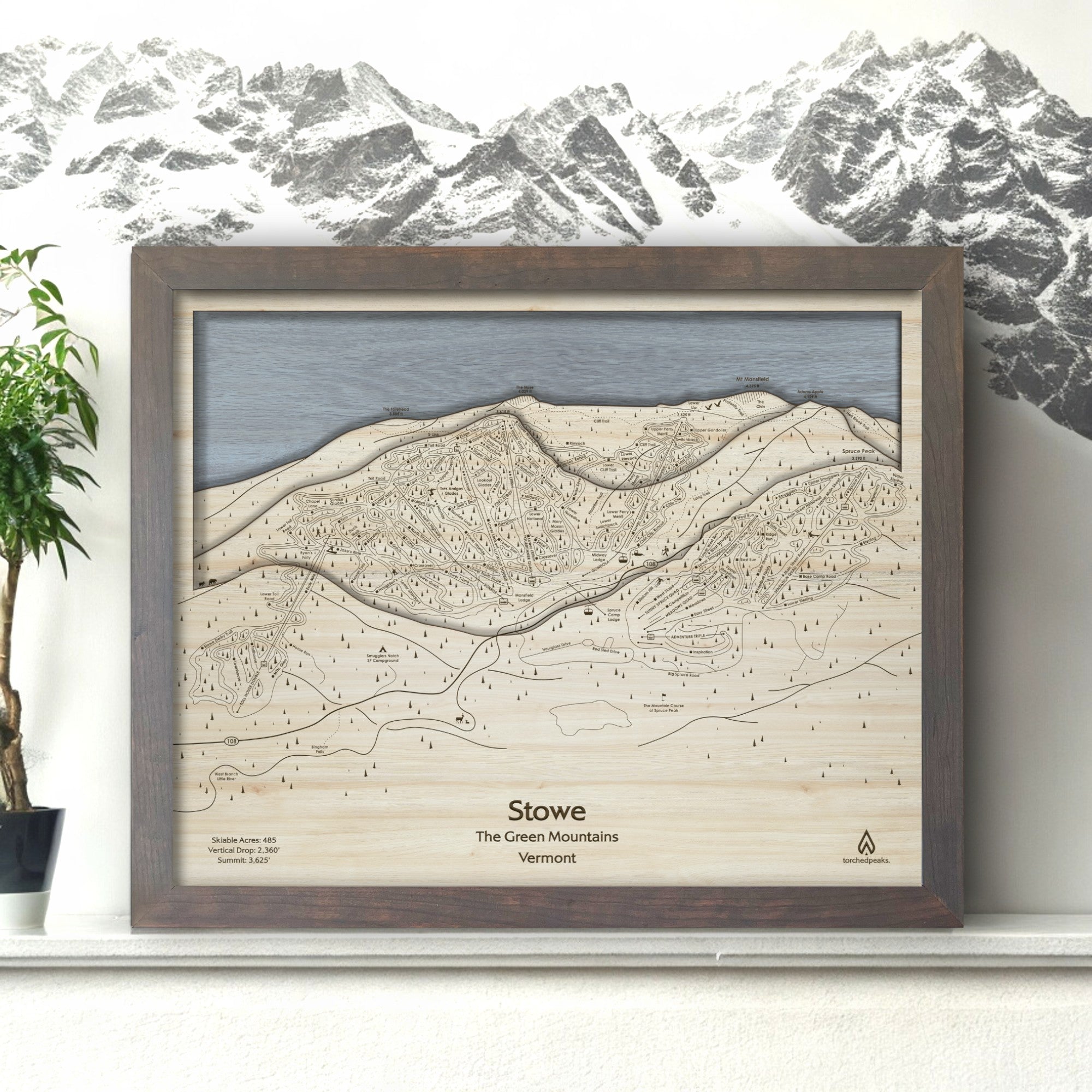 Stowe VT Wooden Mountain Art, 3D Laser-engraved Ski Resort Art