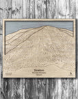 Stratton Mountain Ski Trail Map | 3D Wood Mountain Art