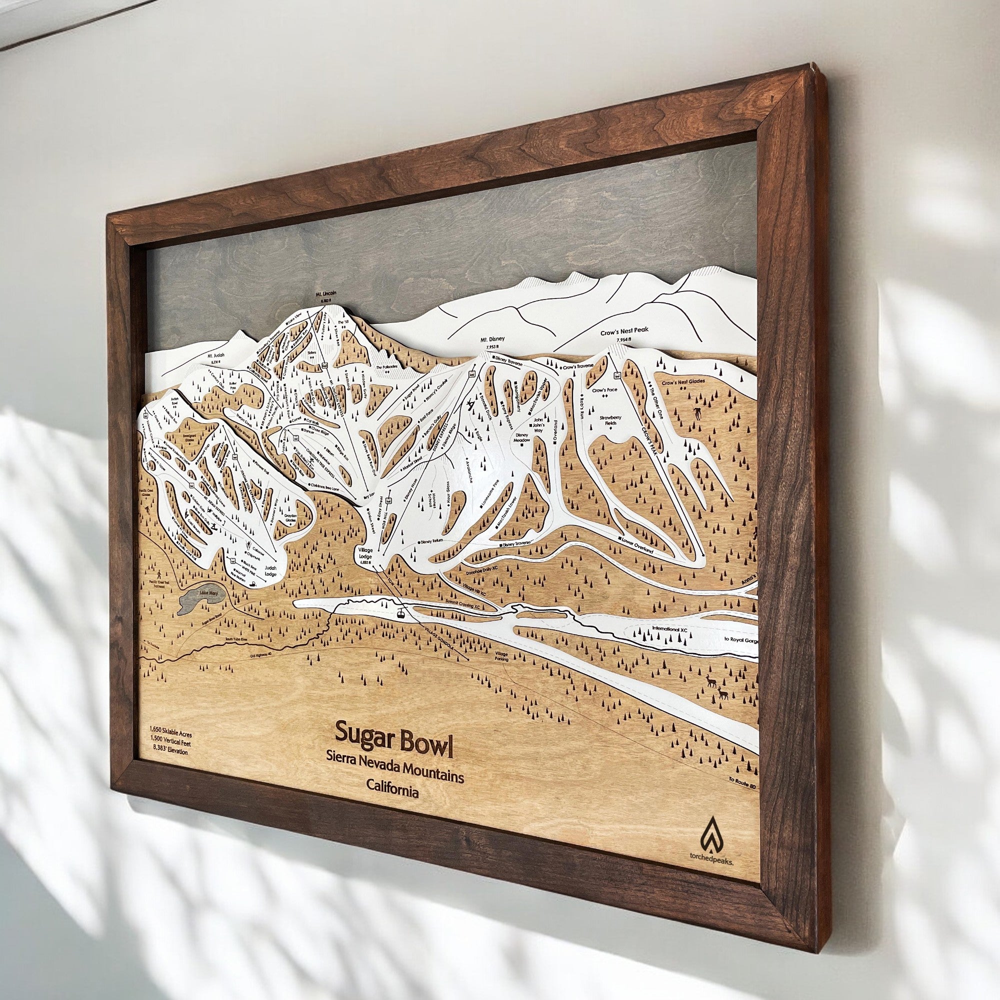 Sugar Bowl Ski Resort near Lake Tahoe, Ski Slopes Mountain Art