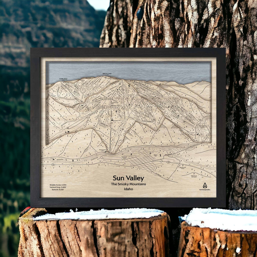 Top Gift for Skiers: Ski Resort Mountain art of un Valley ID