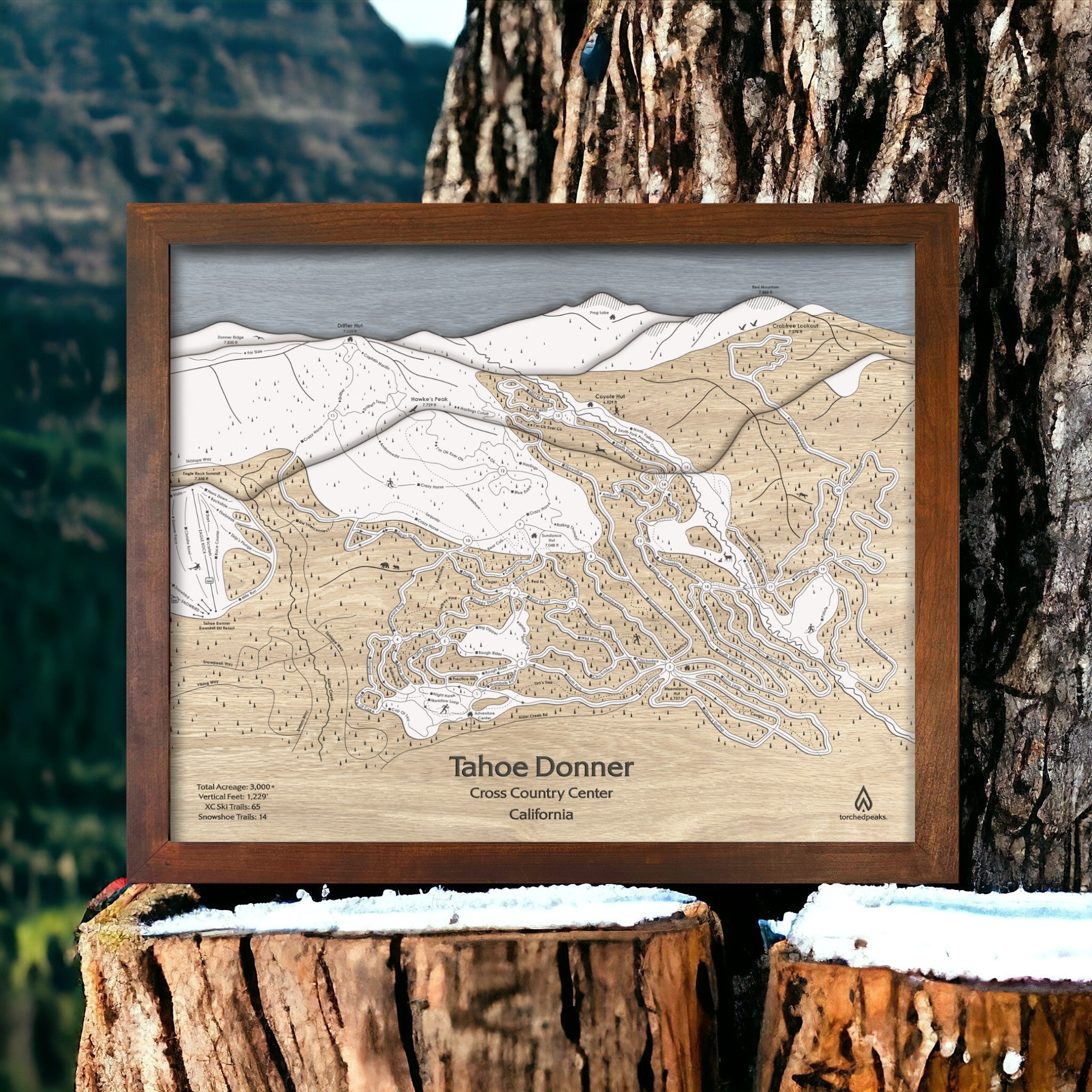 Tahoe Donner XC Ski Center Map, Laser-engraved wall map