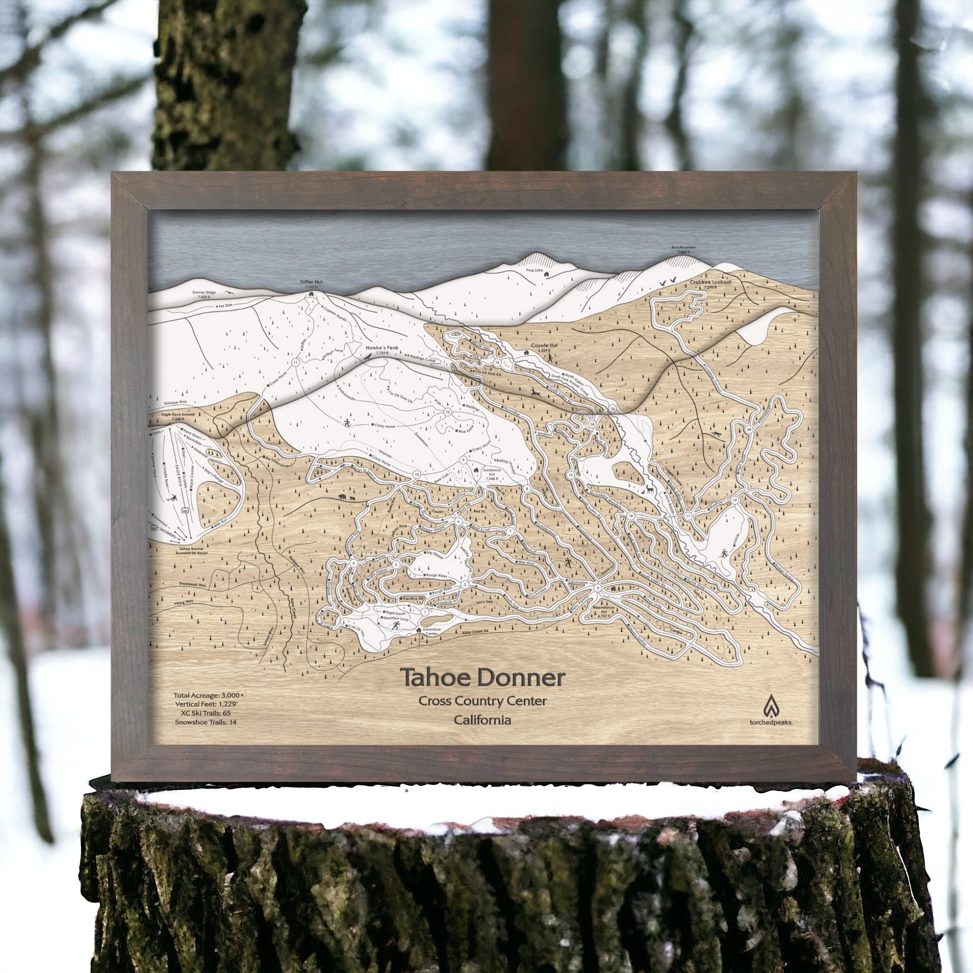 Tahoe Donner Cross Country Ski Center