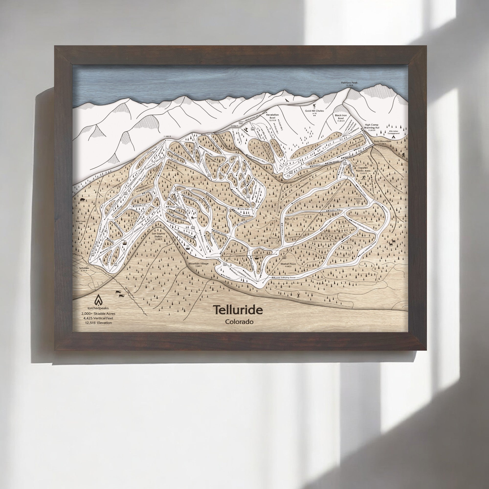 Telluride Ski Trail Map, 3D Wood Map of Telluride Ski Slopes