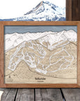 Telluride CO Wooden Ski Map, Framed Skiing Art