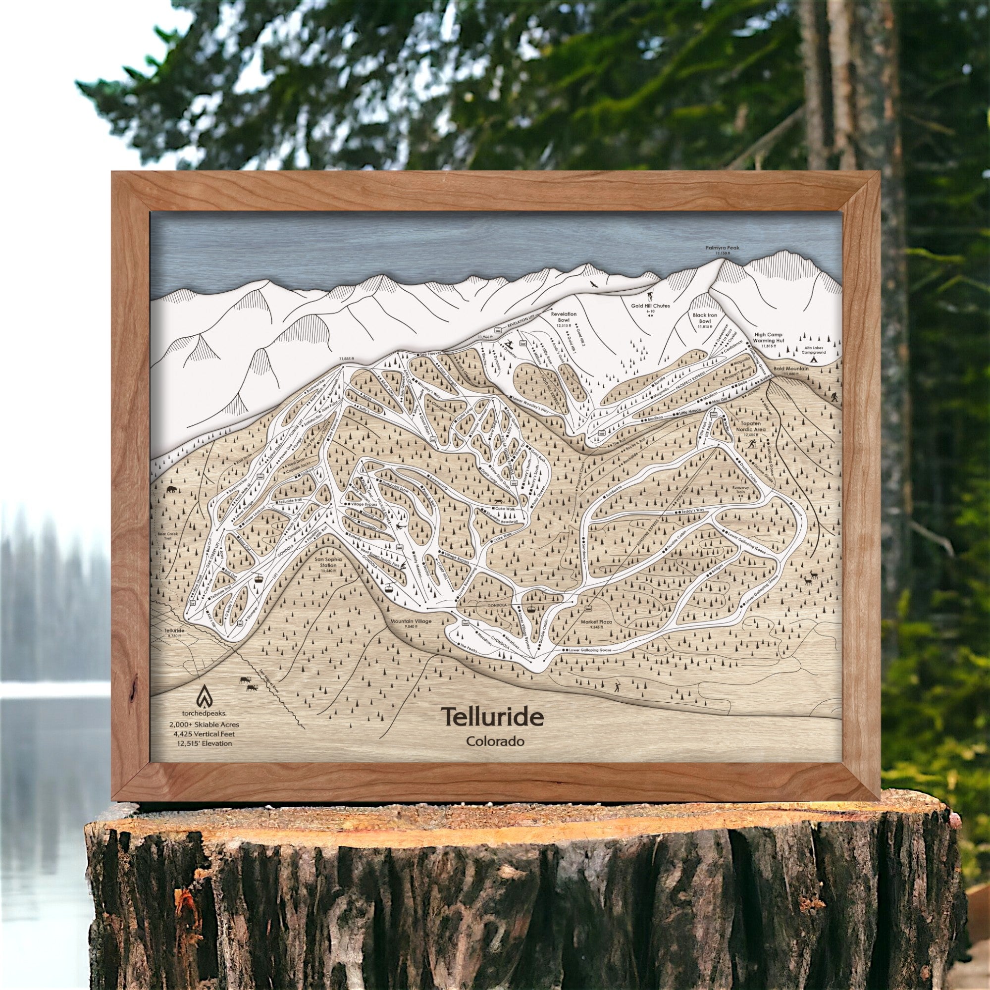 Telluride Ski Trail Map, Wooden Mountain Art, 3D Wood Ski Map