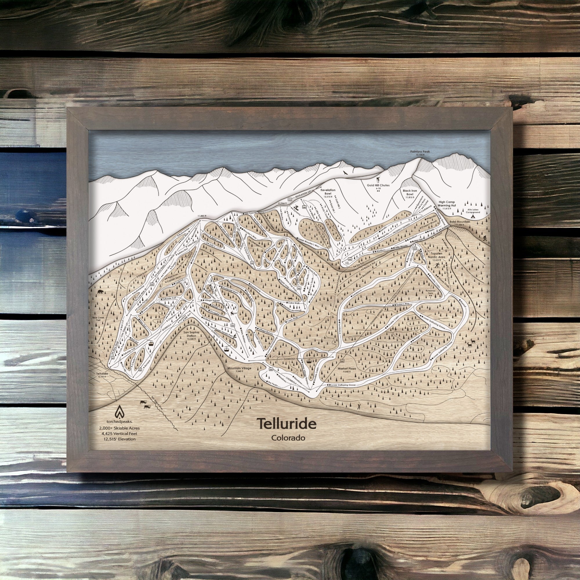 Telluride Ski Map Wall Art, Framed Skiing Map, Ski Poster Art
