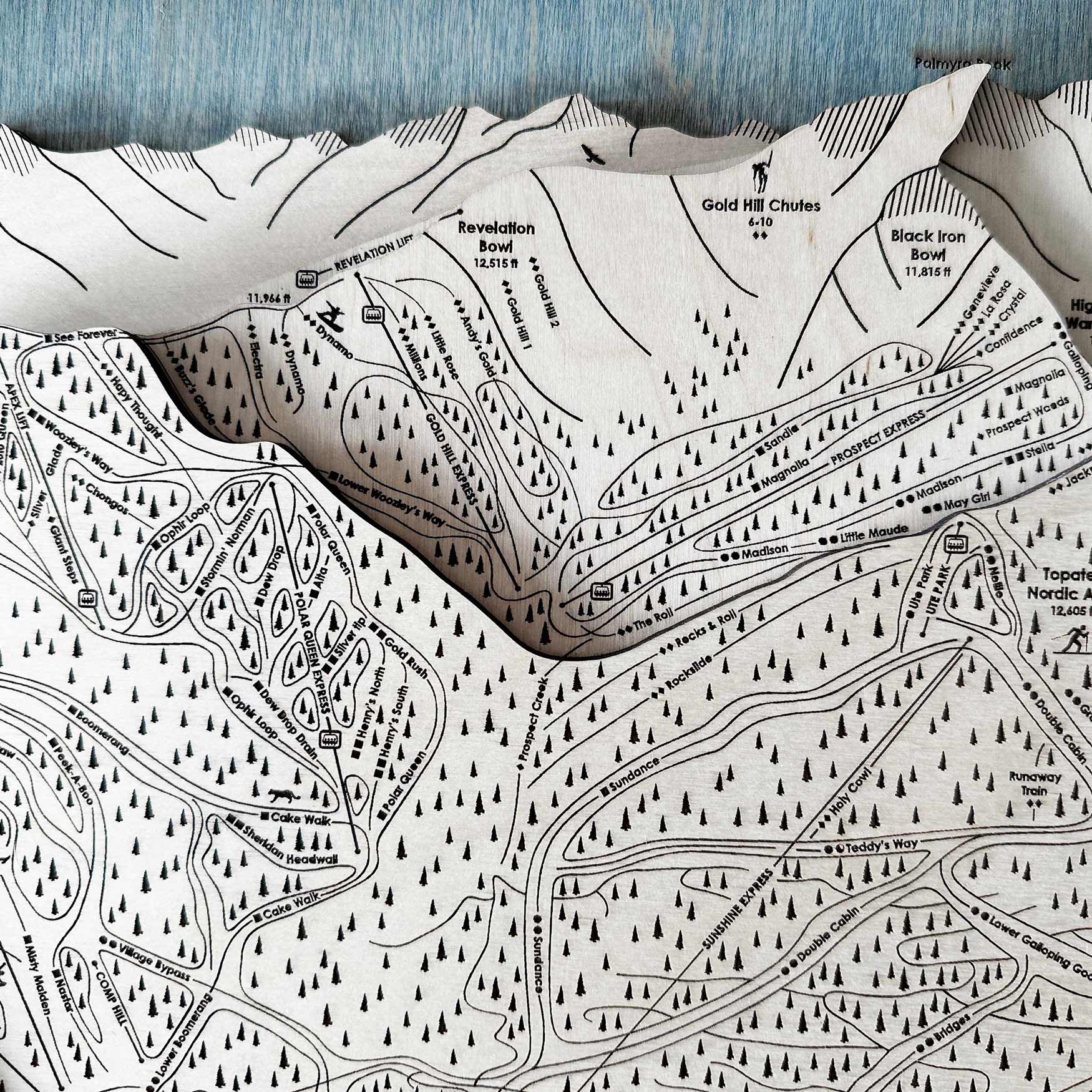 Telluride Colorado Ski Trail Map, 3D Wood Skiing Decor