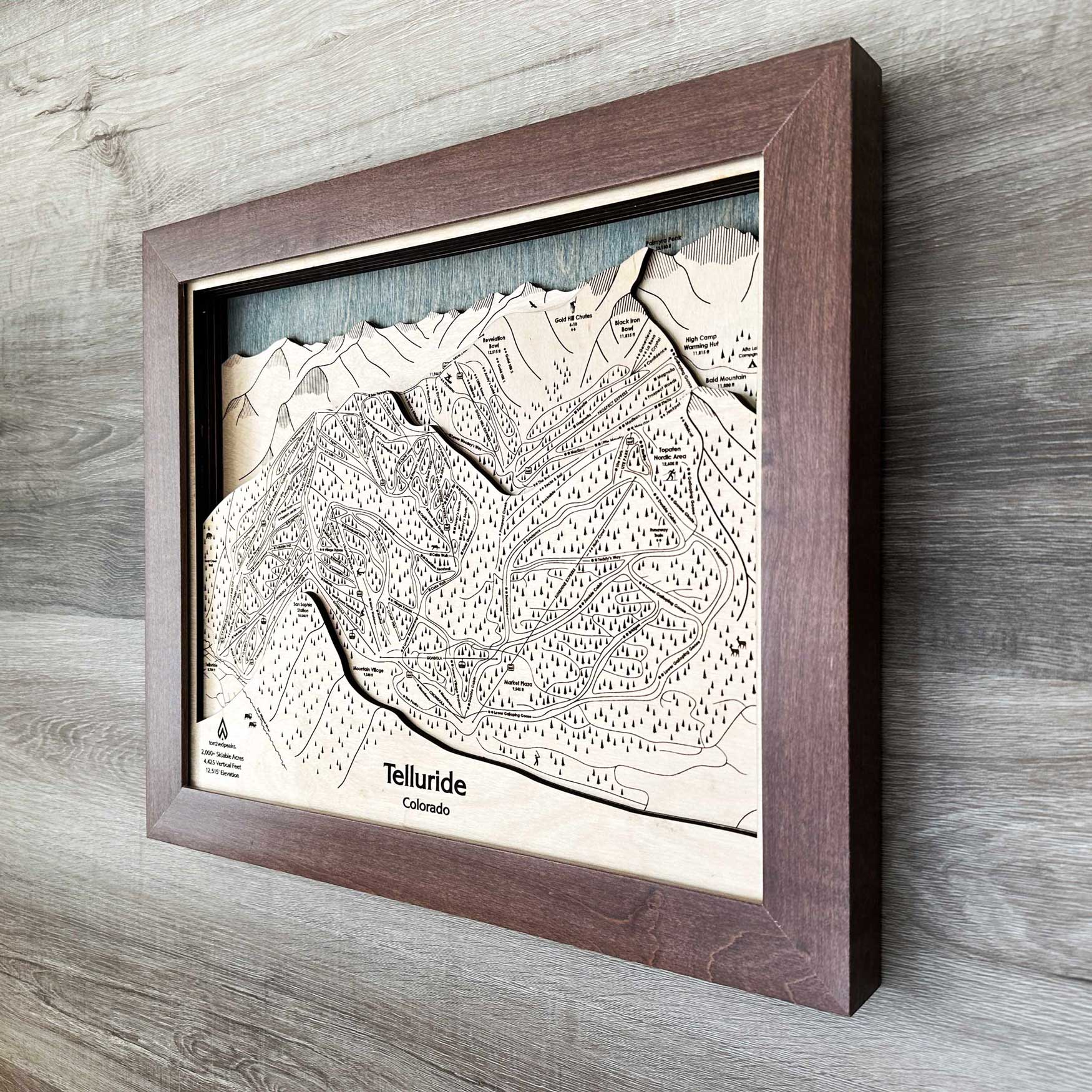Telluride Colorado Ski Trail Map, 3D Wood Skiing Decor