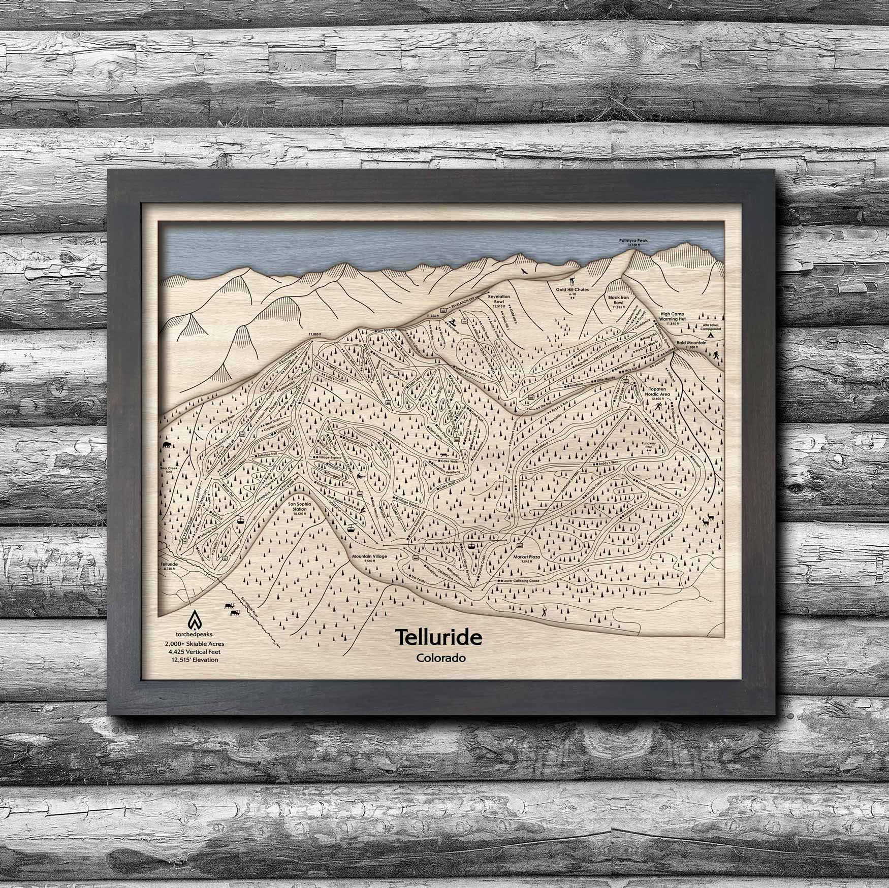 Telluride Colorado Ski Trail Map, 3D Wood Skiing Decor