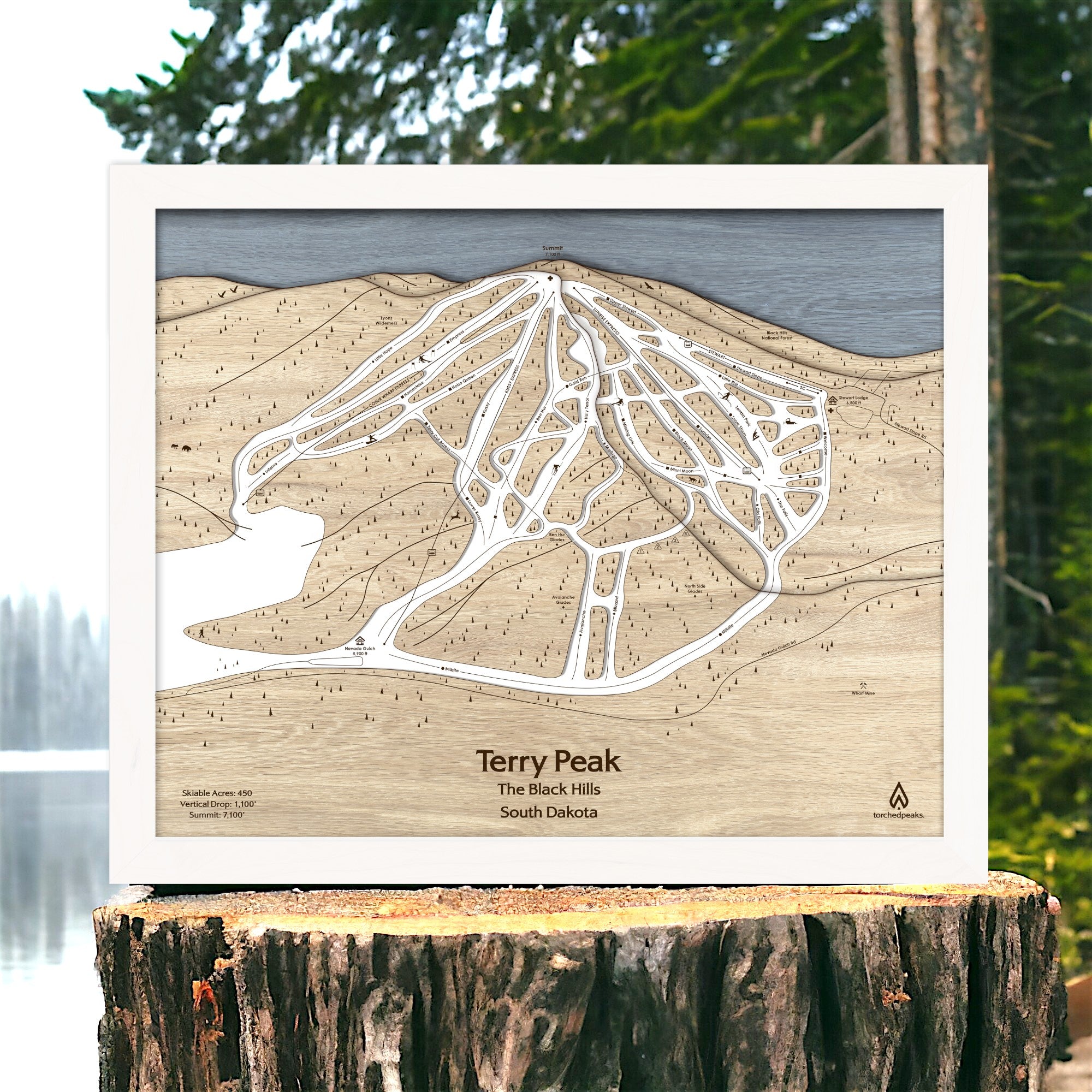 3D Wooden topographic map of Terry Peak Ski Resort on a wooden stump with a forest background.