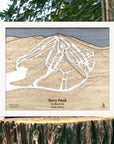 3D Wooden topographic map of Terry Peak Ski Resort on a wooden stump with a forest background.