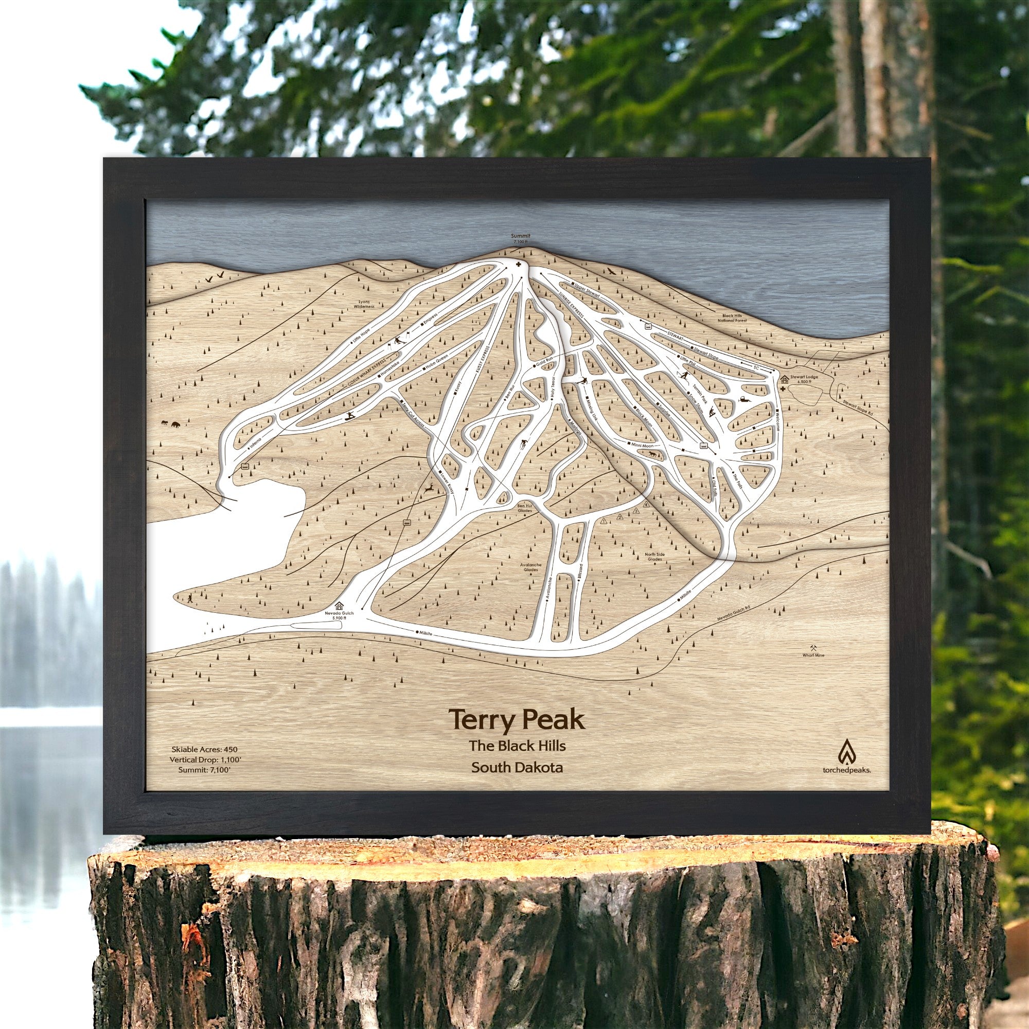 Wooden engraved map of Terry Peak Ski Resort, South Dakota, displayed on a wooden stump with a natural background.