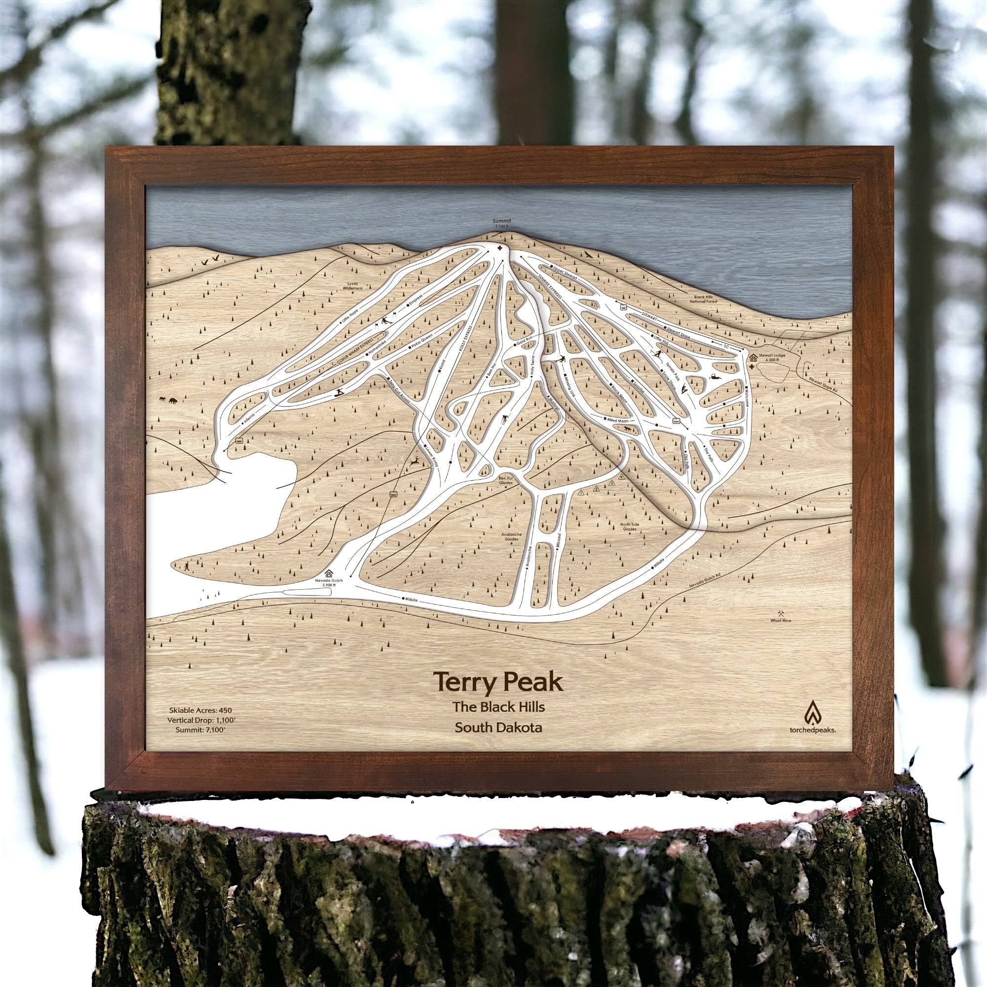 Wooden topographic map of Terry Peak in South Dakota displayed outdoors.
