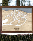 Wooden topographic map of Terry Peak in South Dakota displayed outdoors.