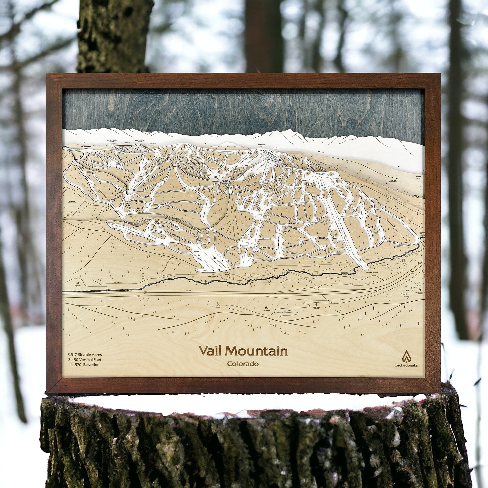 Wooden map of Vail Mountain, Colorado, framed and displayed outdoors.