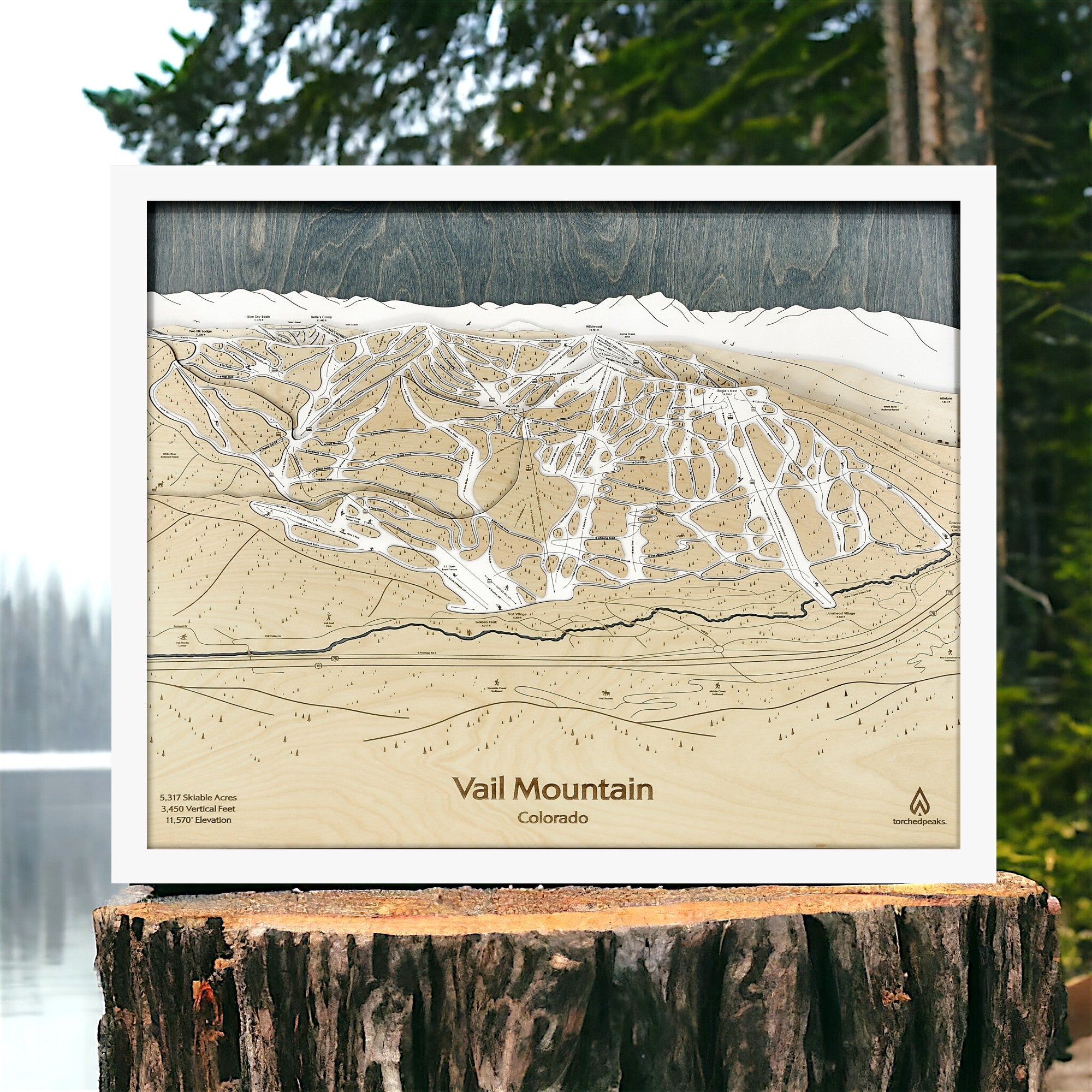 Wooden topographic map of Vail Mountain, Colorado, displayed on a wooden stump with a natural background.
