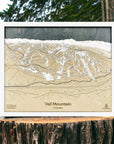 Wooden topographic map of Vail Mountain, Colorado, displayed on a wooden stump with a natural background.