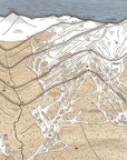 Close-up of a handcrafted Whistler Blackcomb 3D wood ski trail map showing layered terrain, ski runs and mountain details