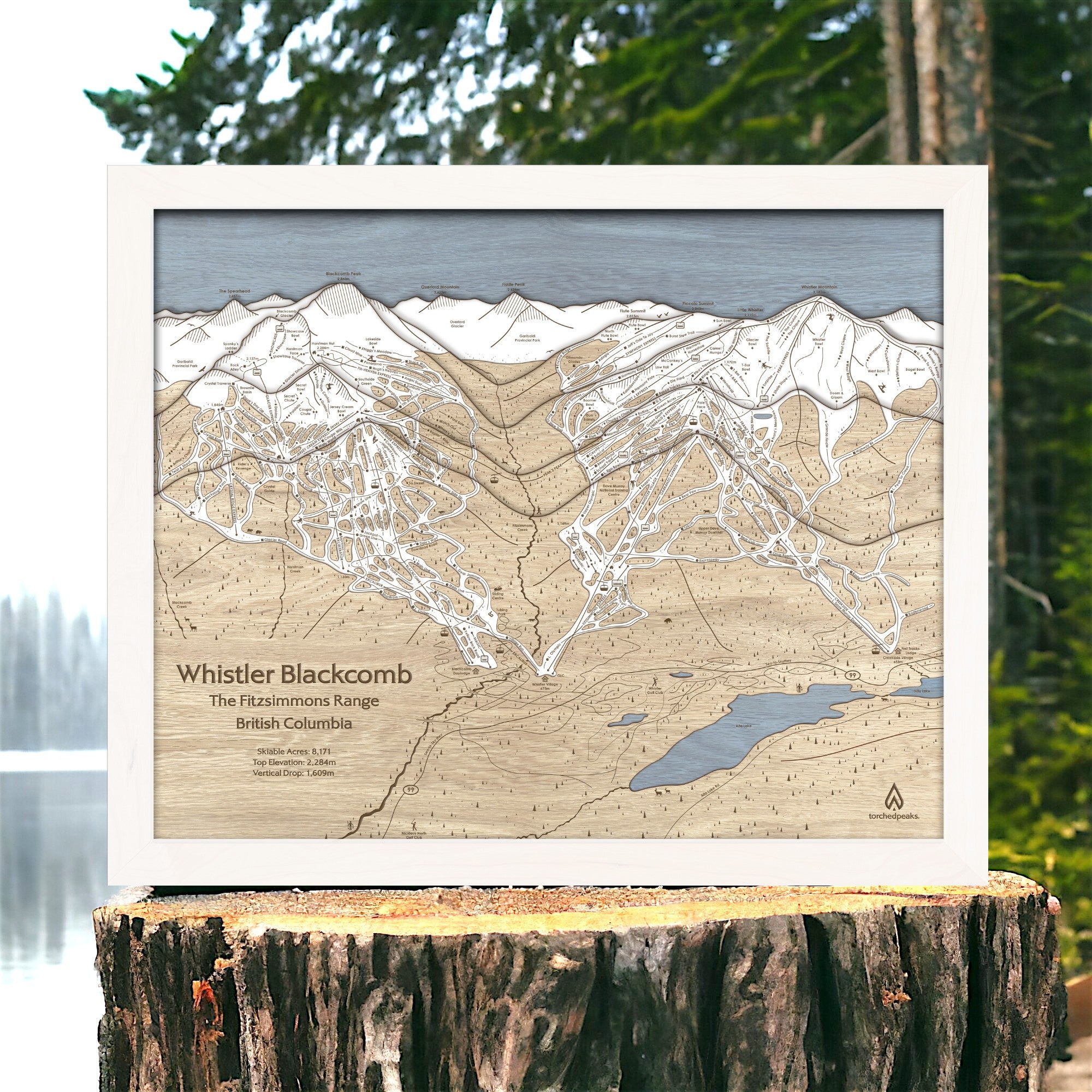 Whistler Blackcomb 3D wood ski map with an Arctic White frame displayed outdoors on a snowy forest stump.